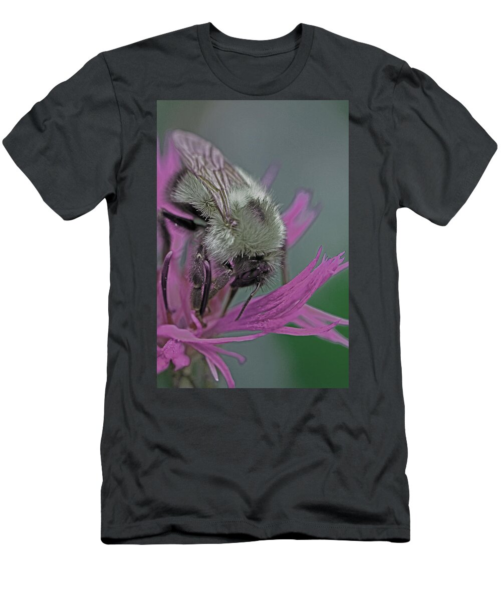 Insects T-Shirt featuring the photograph Bee Calm by Jennifer Robin