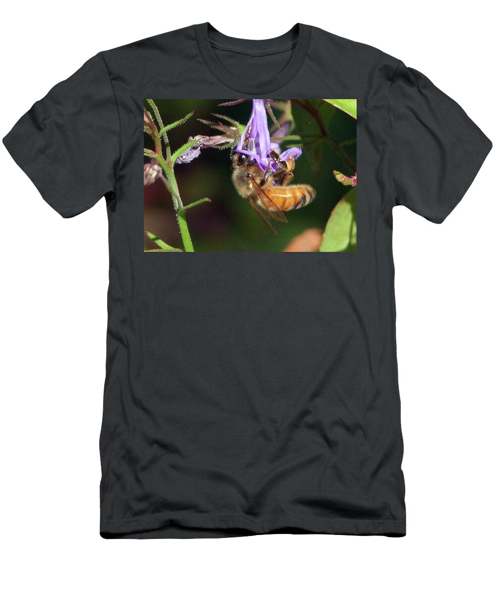 Insect T-Shirt featuring the photograph Bee with flower by Ron Roberts