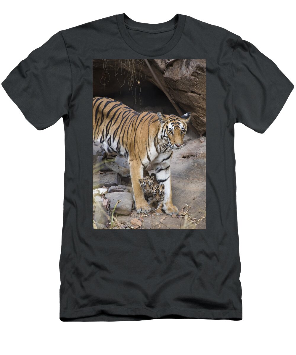 Feb0514 T-Shirt featuring the photograph Bengal Tiger And Cubs Bandhavgarh Np by Suzi Eszterhas