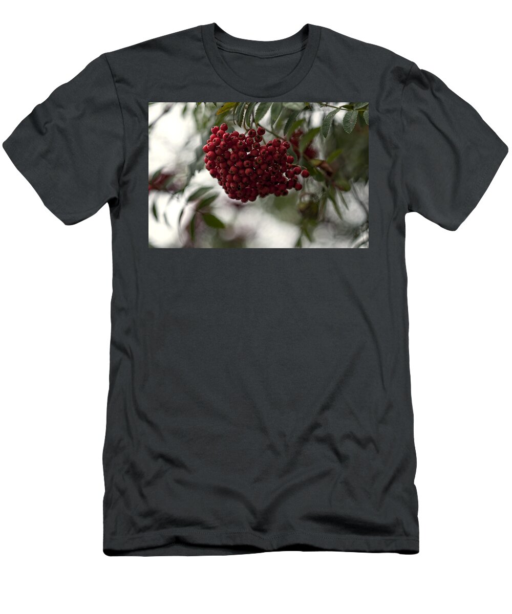 Berries T-Shirt featuring the photograph Berries by Miguel Winterpacht