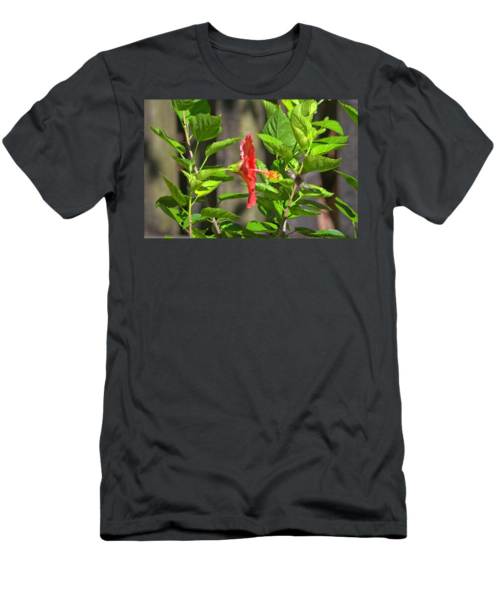 Best T-Shirt featuring the photograph Best Close-Up Green Hummingbird on Red Hibiscus Flower. by Jeff at JSJ Photography