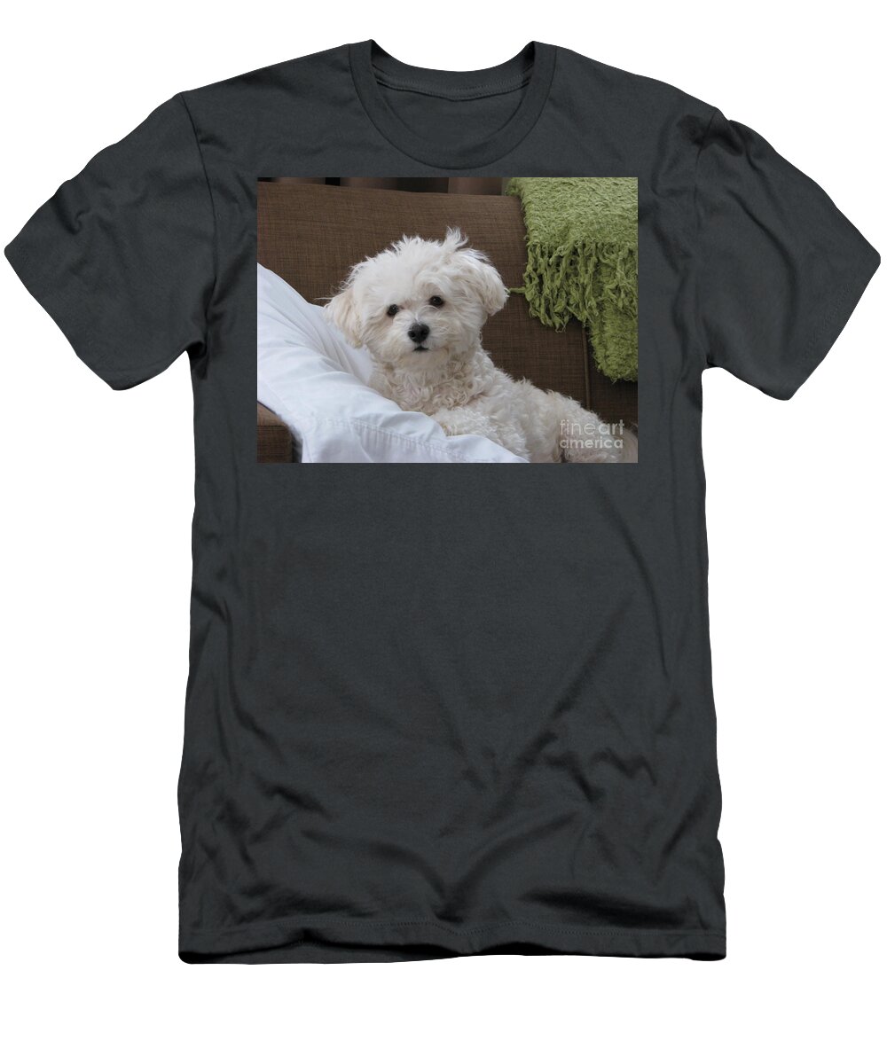 Bichon Friese T-Shirt featuring the photograph Molly 2 by Michael Krek