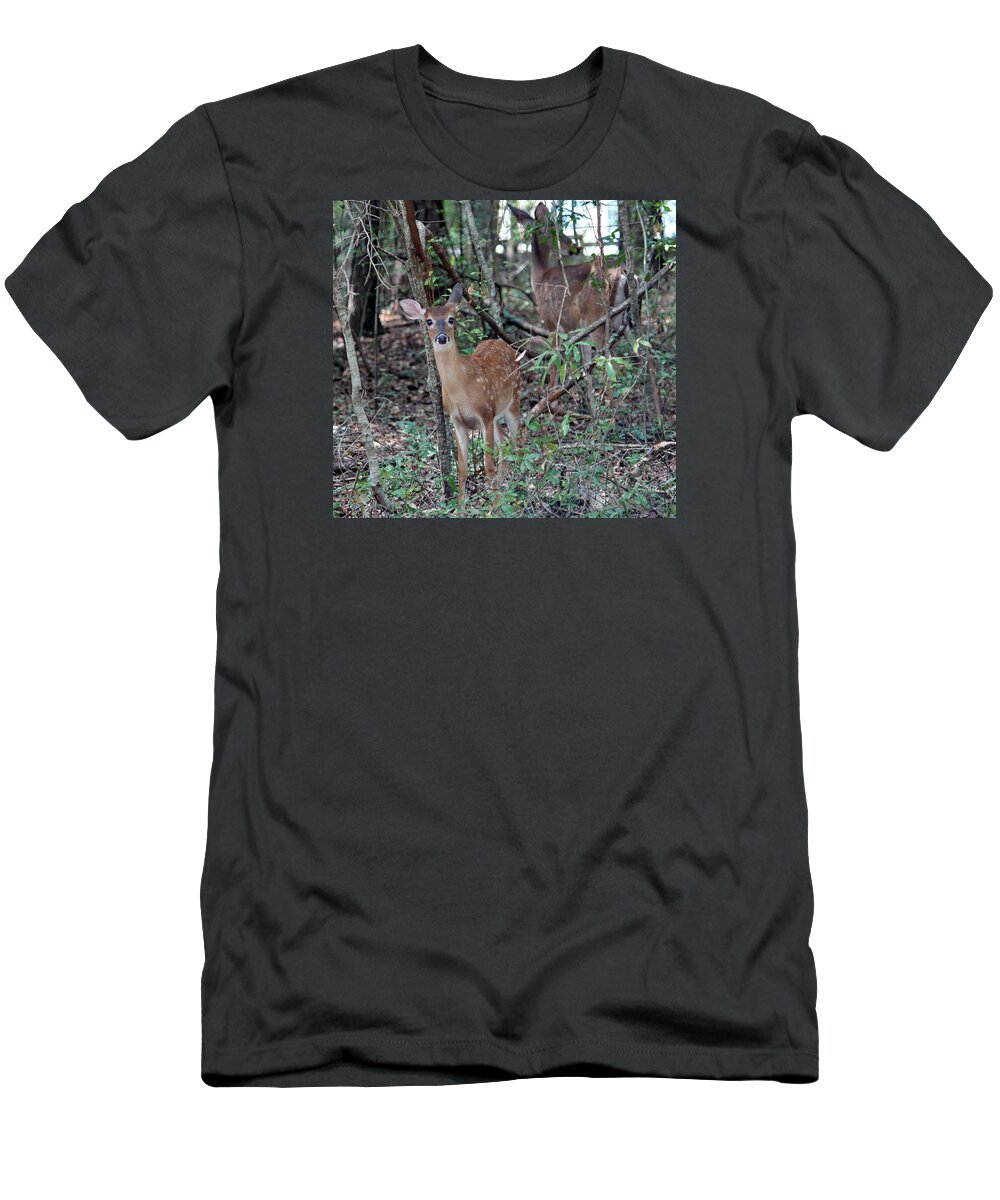 Odocoileus Virginianus T-Shirt featuring the photograph Big Bright Eyes by Cynthia Guinn