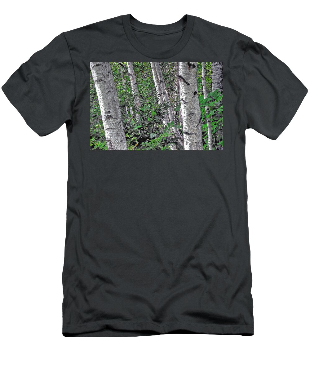 Trees T-Shirt featuring the photograph Birches by Phyllis Meinke