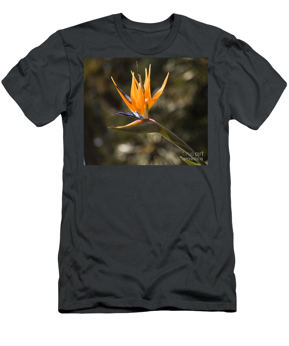 Flowers Photographs T-Shirt featuring the photograph Bird of Paradise by David Millenheft