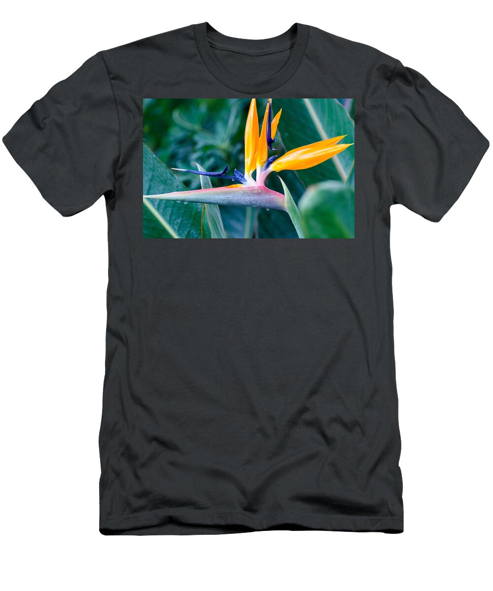 Flora T-Shirt featuring the photograph Bird of Paradise by Maureen E Ritter