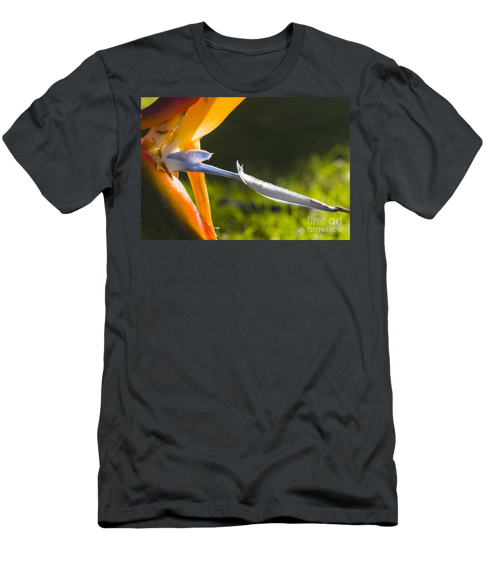 Australia T-Shirt featuring the photograph Bird of Paradise by Steven Ralser