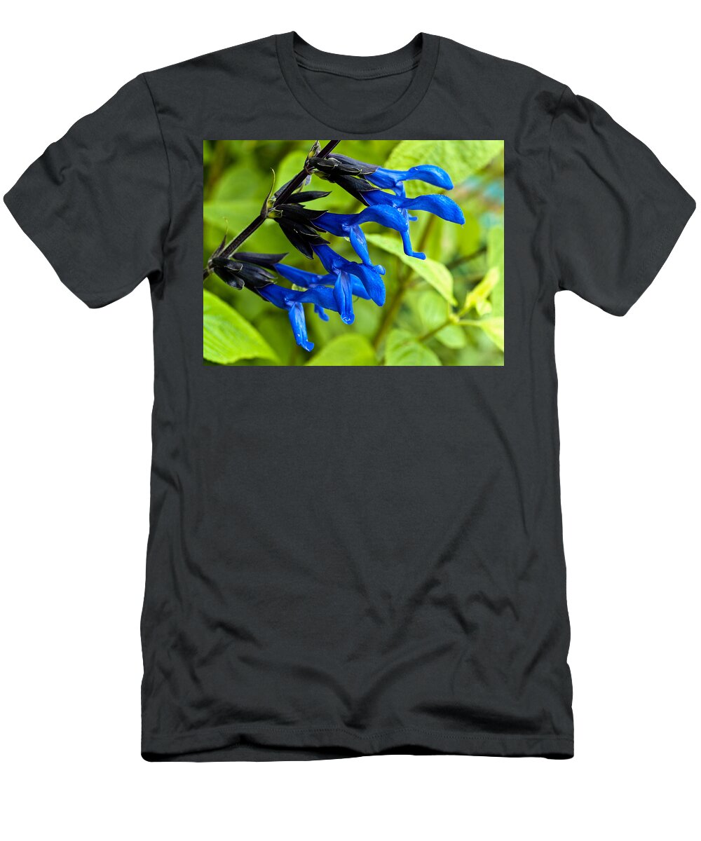 Salvia T-Shirt featuring the photograph Black and Blue Salvia by Charles Hite
