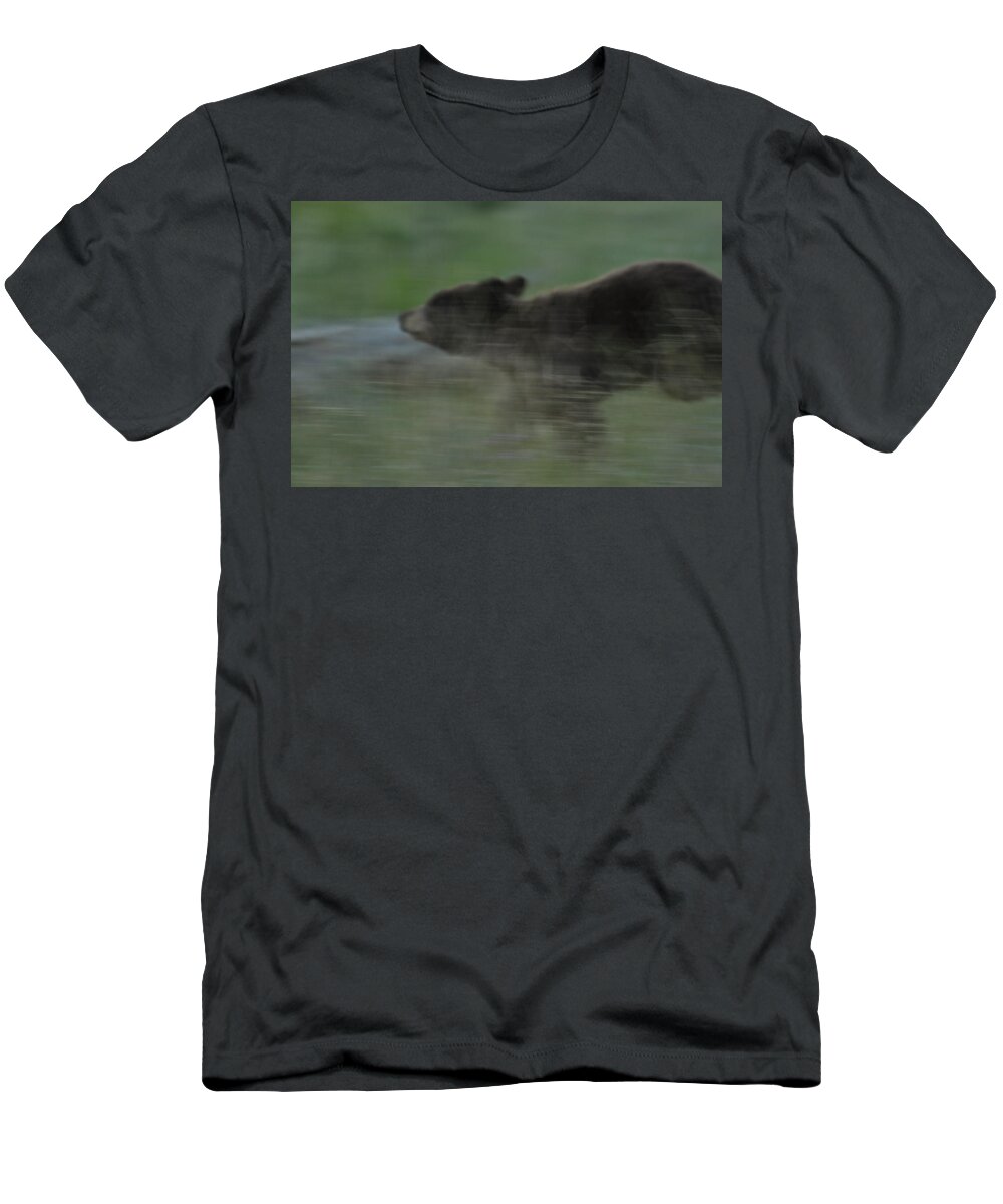Black Bear T-Shirt featuring the photograph Black Bear Cub by Frank Madia