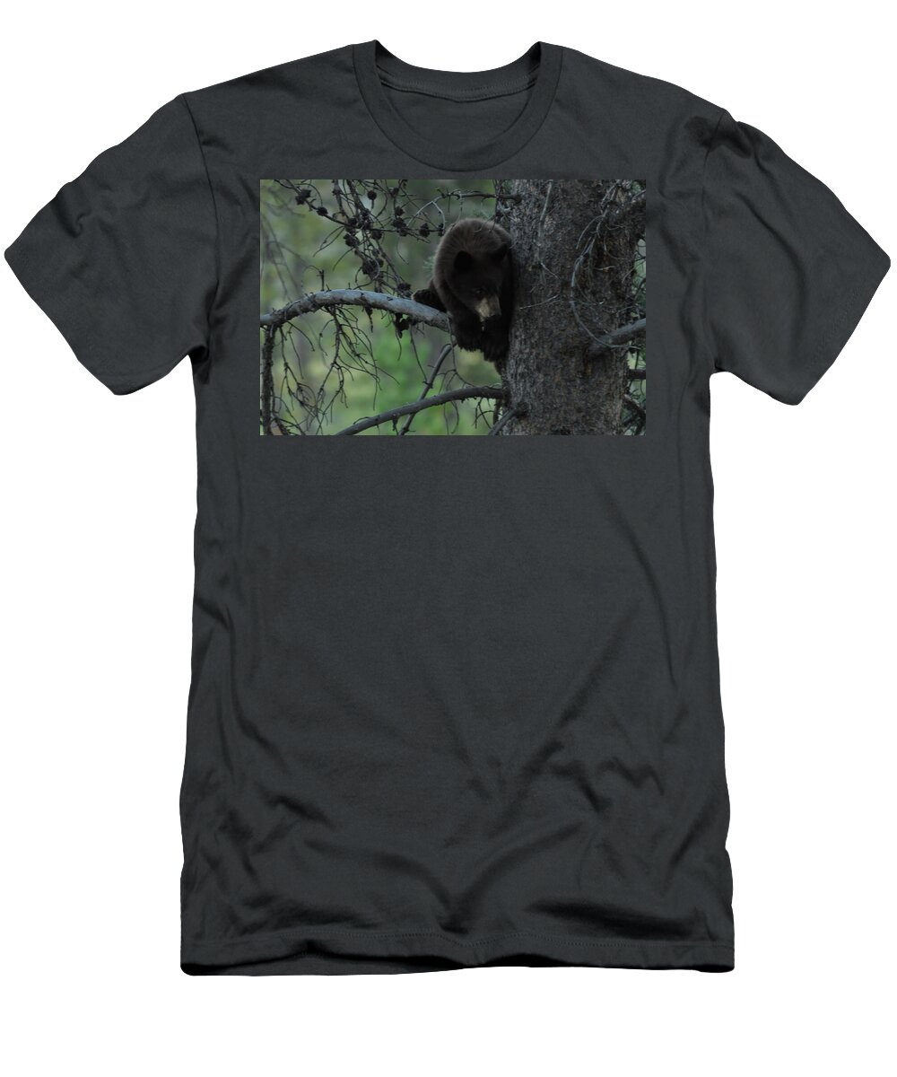 Black Bear T-Shirt featuring the photograph Black Bear Cub in Tree by Frank Madia