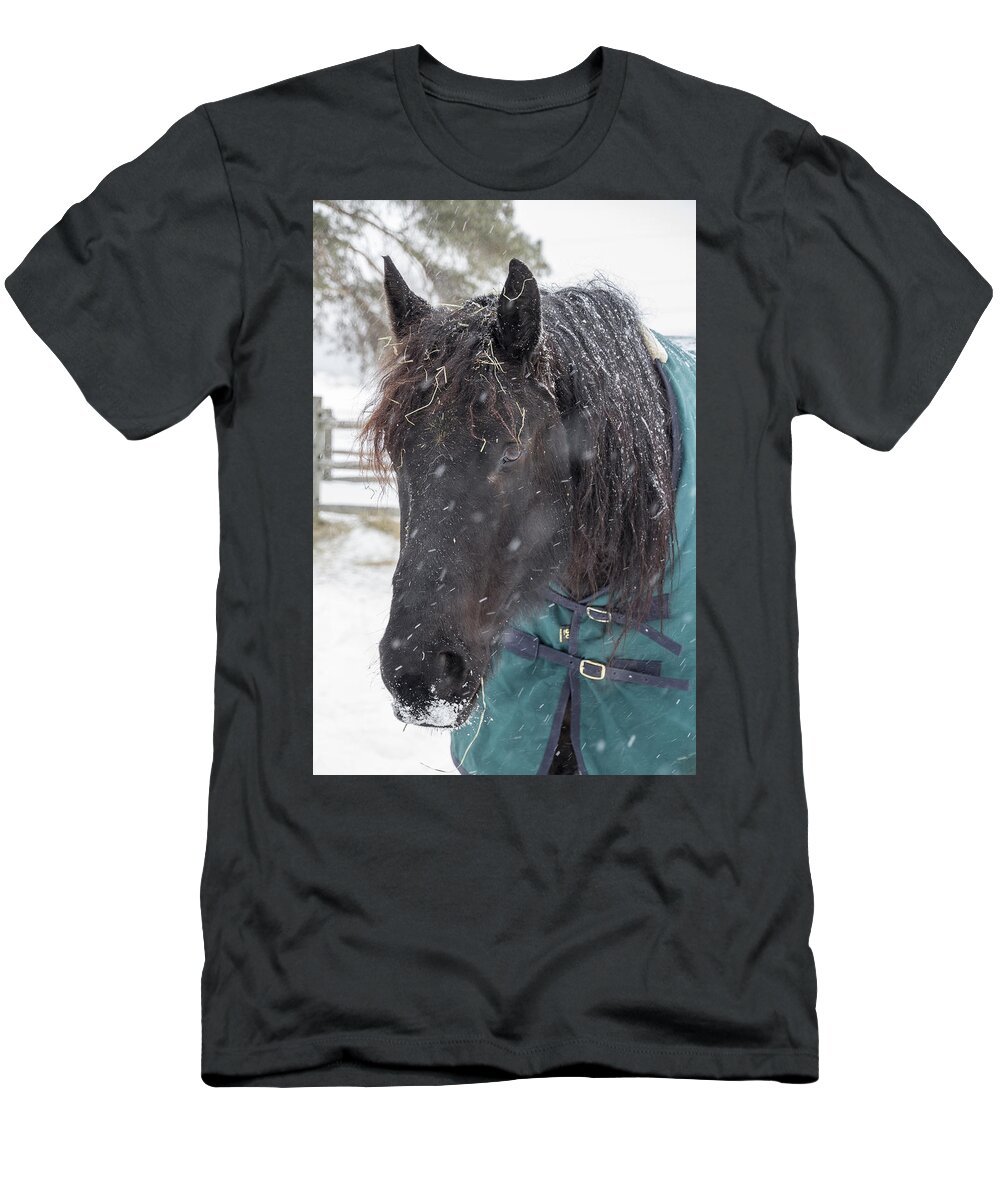 Horse T-Shirt featuring the photograph Black Horse in Snow by Joann Long