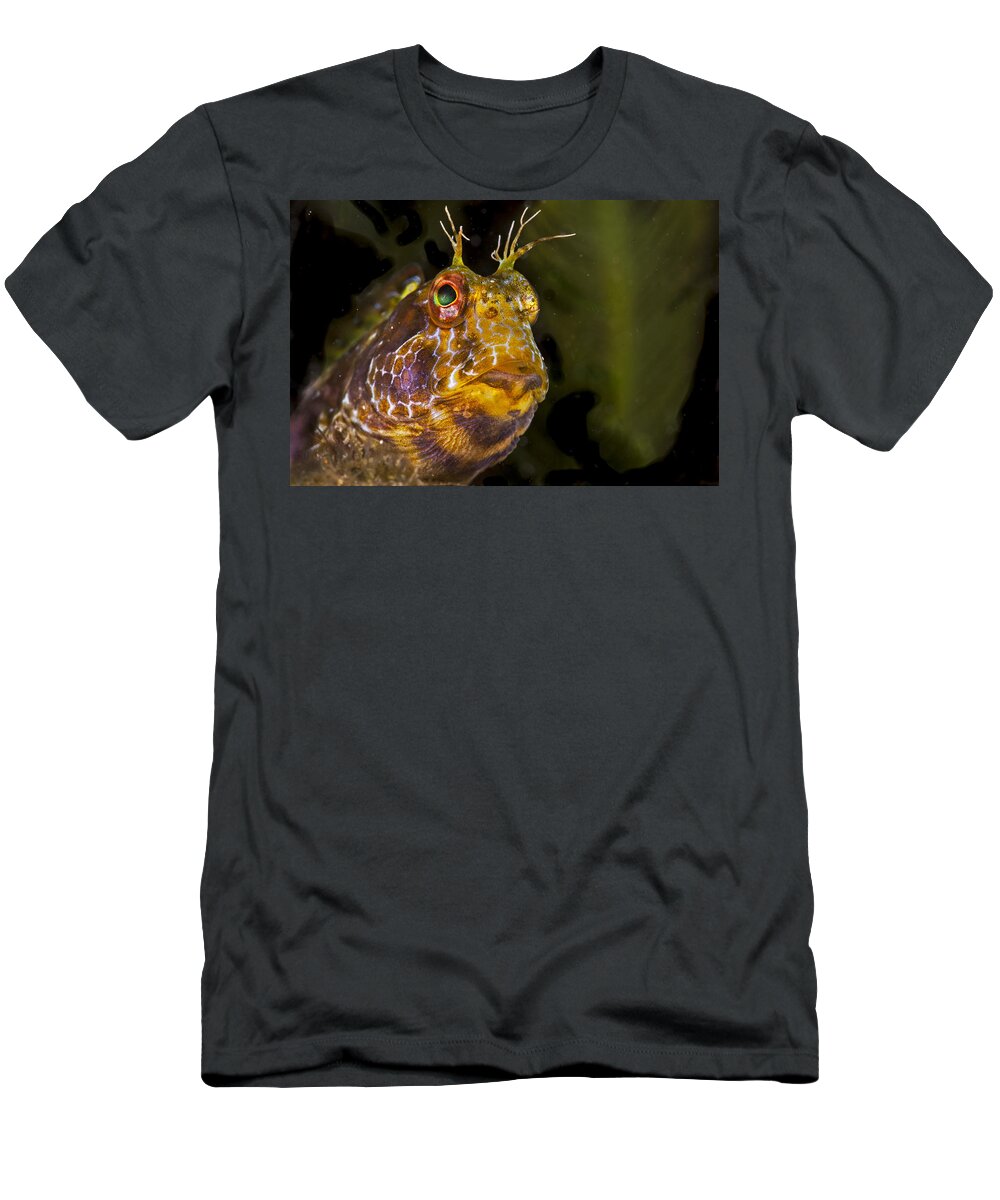 Blenny T-Shirt featuring the photograph Blenny In Deep Thought by Sandra Edwards