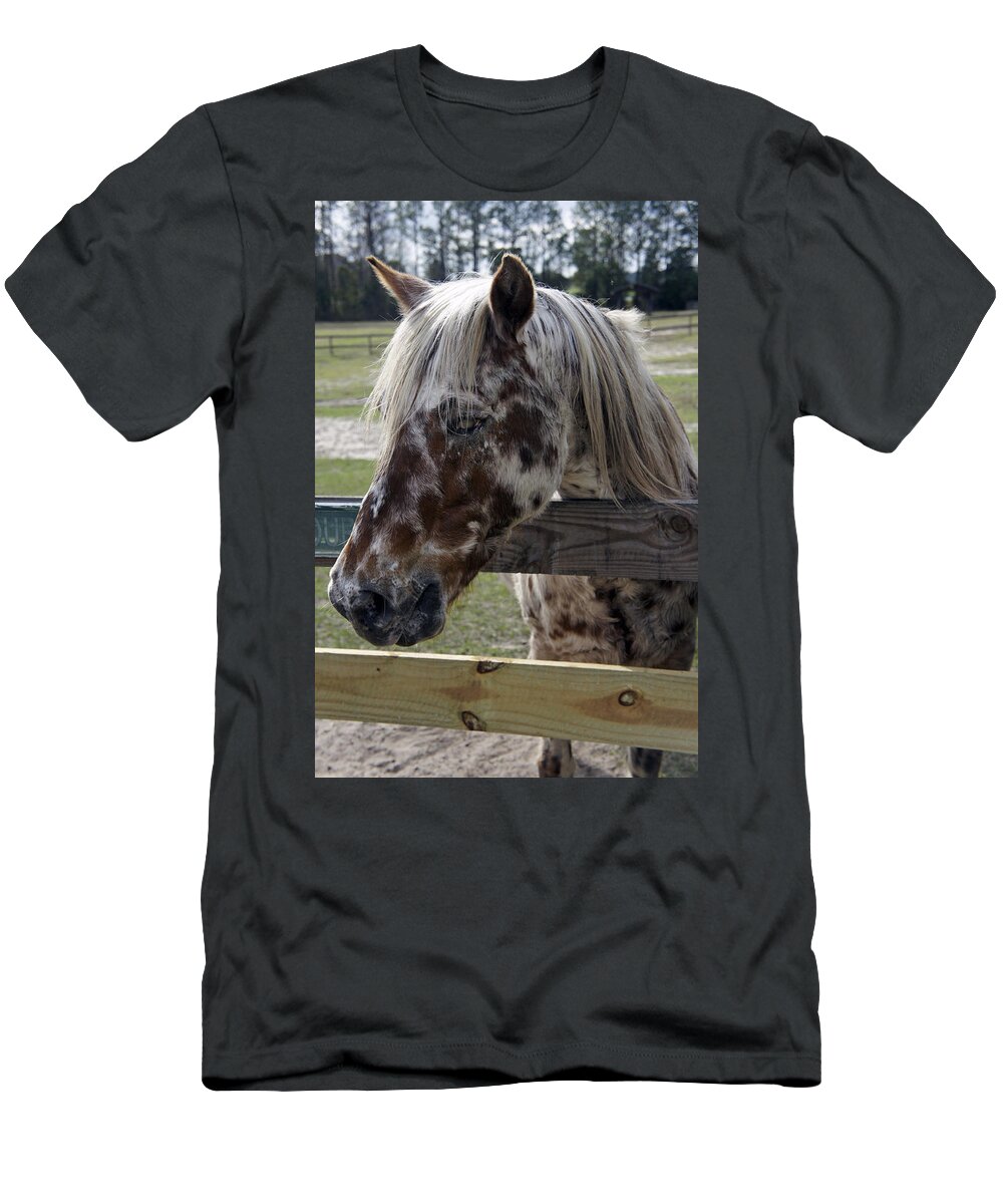 Mill Creek Farm T-Shirt featuring the photograph Blind but Beautiful by Laurie Perry