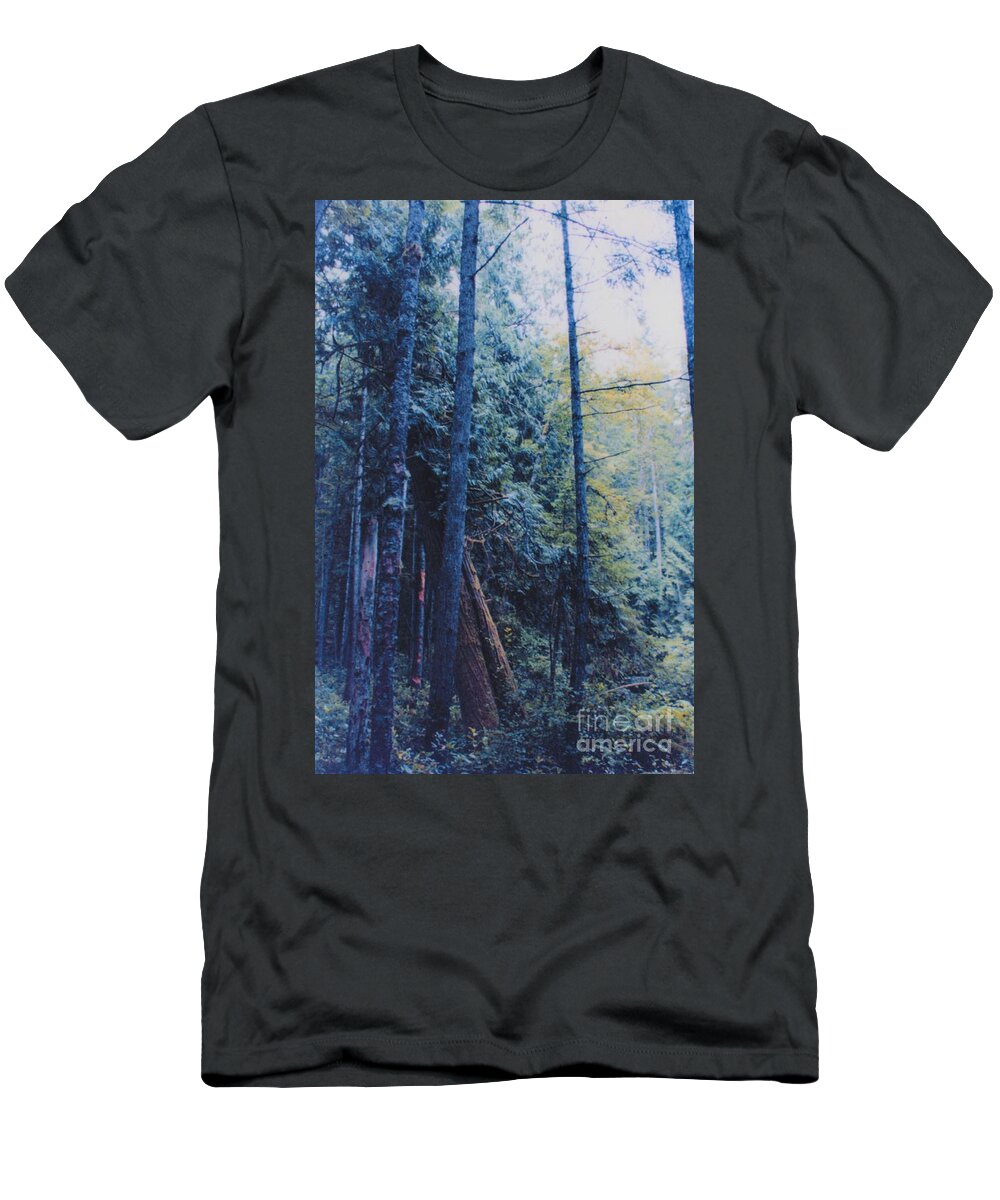 First Star T-Shirt featuring the photograph Blue Forest by jrr by First Star Art
