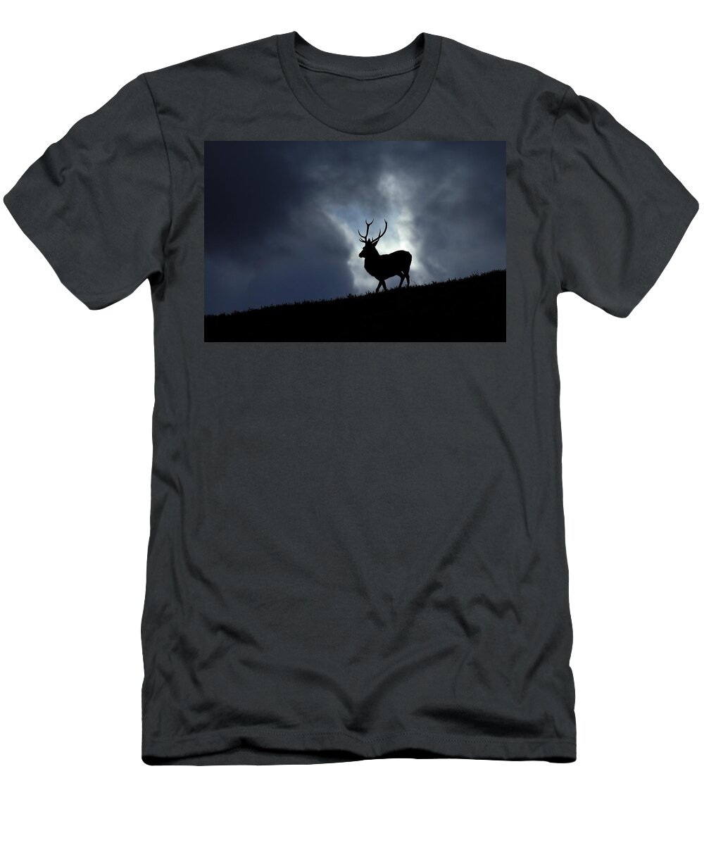 Stag T-Shirt featuring the photograph Blue horizon by Gavin Macrae