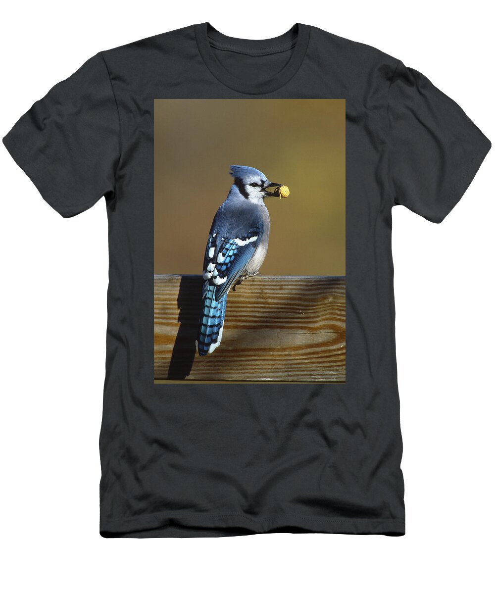 Feb0514 T-Shirt featuring the photograph Blue Jay Carrying Peanut Long Island by Tom Vezo