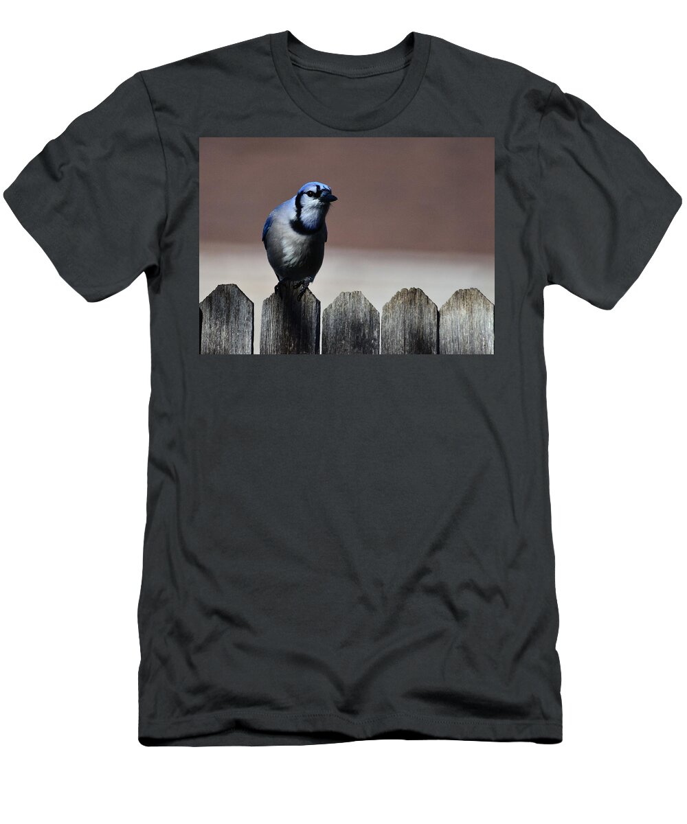 Blue Jay-in High Blue Contrast- Lower Light On An Old Ragged Gray- Fence- Posed In Art- Highest Selling Print- Bluejay- Blue Colored Birds- Blue Feathered Birds- Blue And White Birds- Bluejay On Fence- Jay(art-photography Images By Rae Ann M. Garrett- Raeann Garrett) T-Shirt featuring the photograph Blue Jay Fence 1 by Rae Ann M Garrett