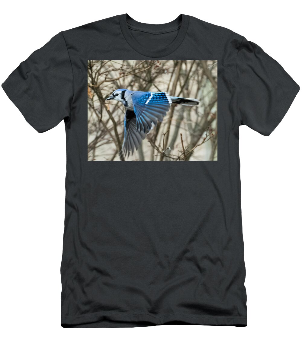 Blue Jay T-Shirt featuring the photograph Blue Jay by Holden The Moment