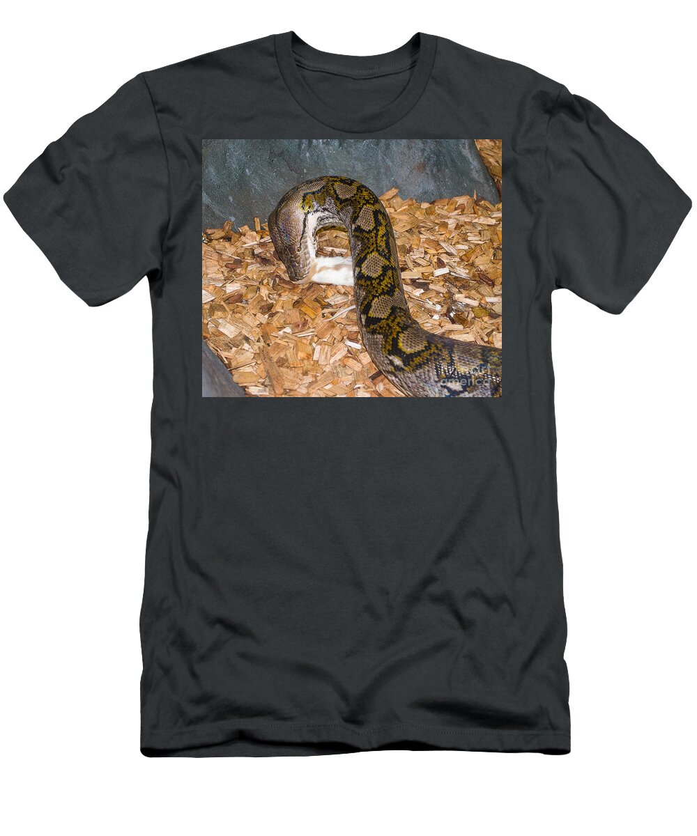 Animals T-Shirt featuring the photograph Boa Feeding Time 2 by Steven Ralser
