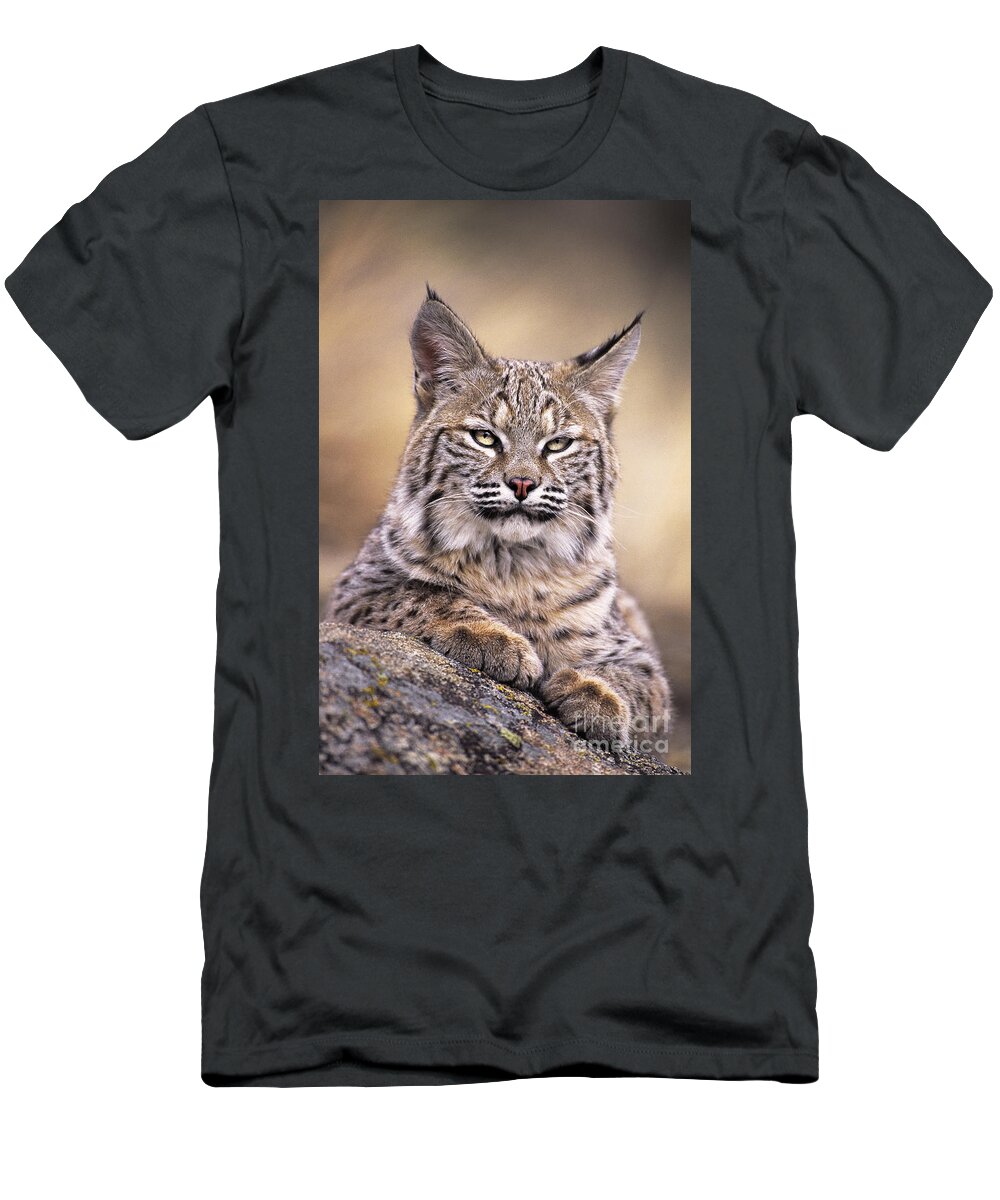 Bobcat T-Shirt featuring the photograph Bobcat Cub Portrait Montana Wildlife by Dave Welling