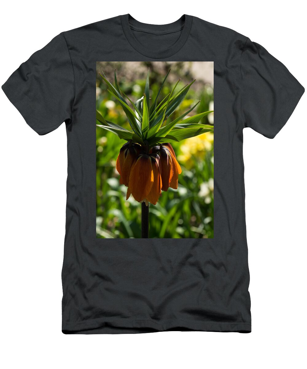 Crown Imperial T-Shirt featuring the photograph Bold and Showy Orange Crown Imperial Flower by Georgia Mizuleva