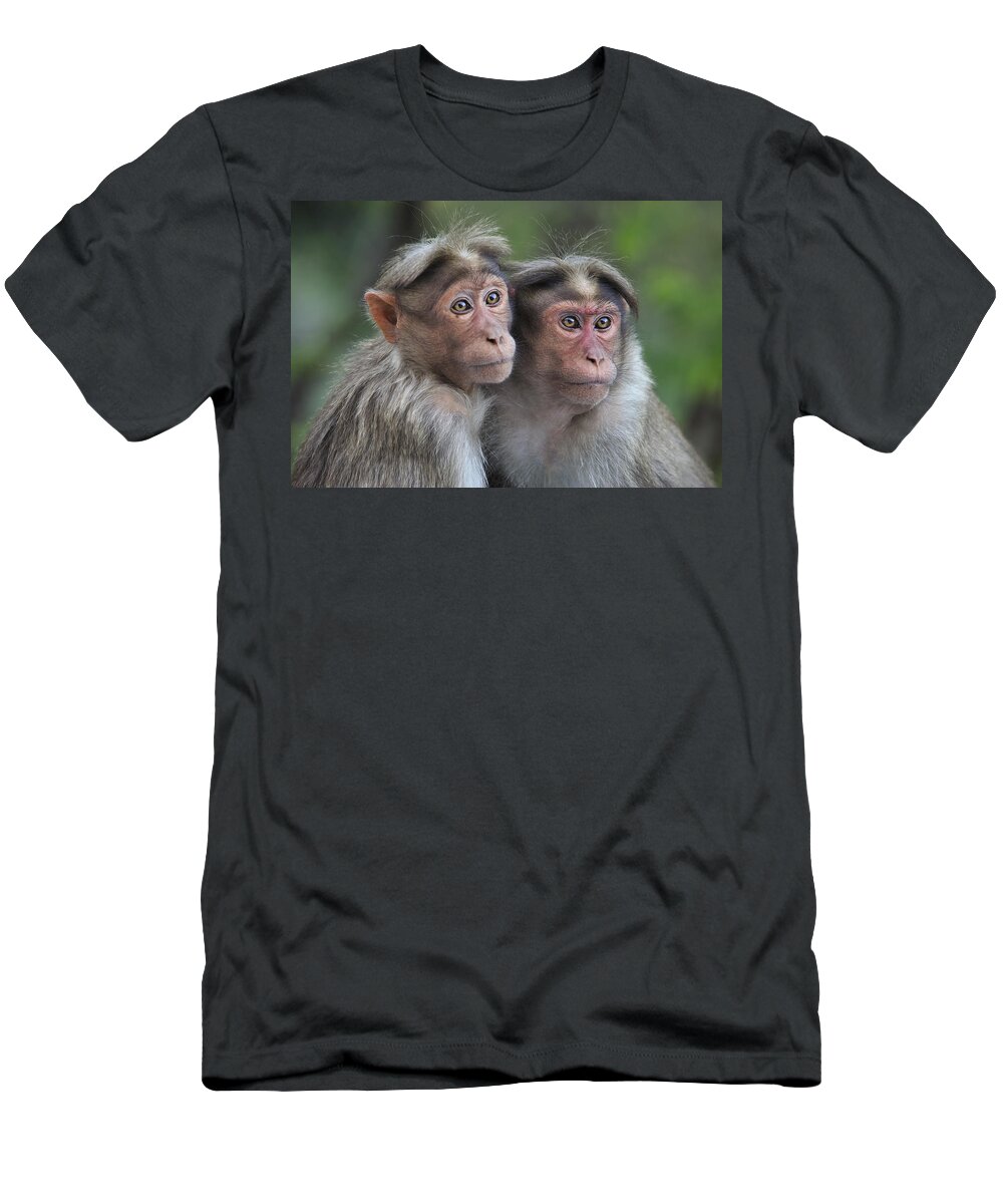 Thomas Marent T-Shirt featuring the photograph Bonnet Macaque Pair Huddling India by Thomas Marent