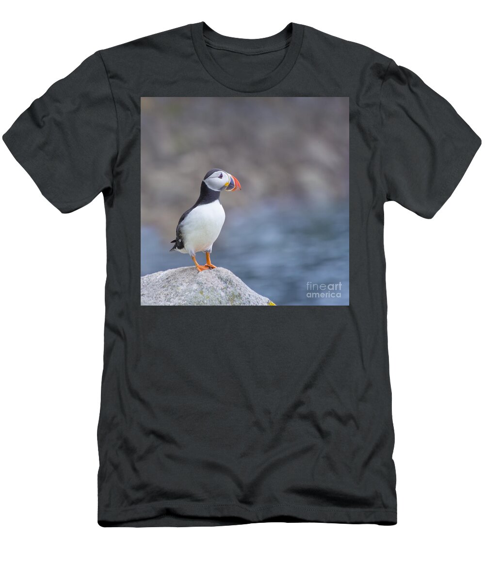 Puffin T-Shirt featuring the photograph Born Free by Evelina Kremsdorf