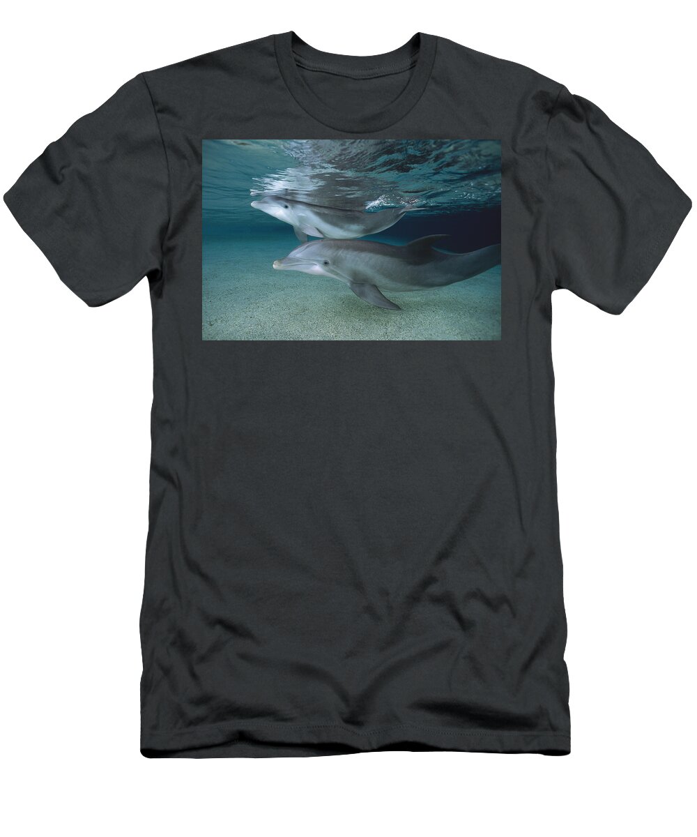 Feb0514 T-Shirt featuring the photograph Bottlenose Dolphin Adult And Juvenile by Flip Nicklin