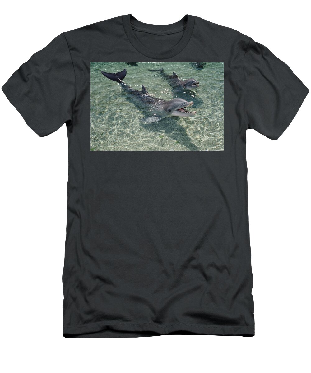 Feb0514 T-Shirt featuring the photograph Bottlenose Dolphin In Shallow Lagoon by Flip Nicklin