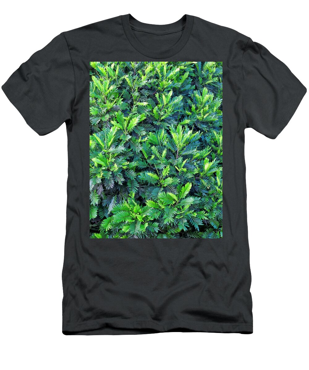 Tree T-Shirt featuring the photograph Bread Fruit 3 by Dawn Eshelman