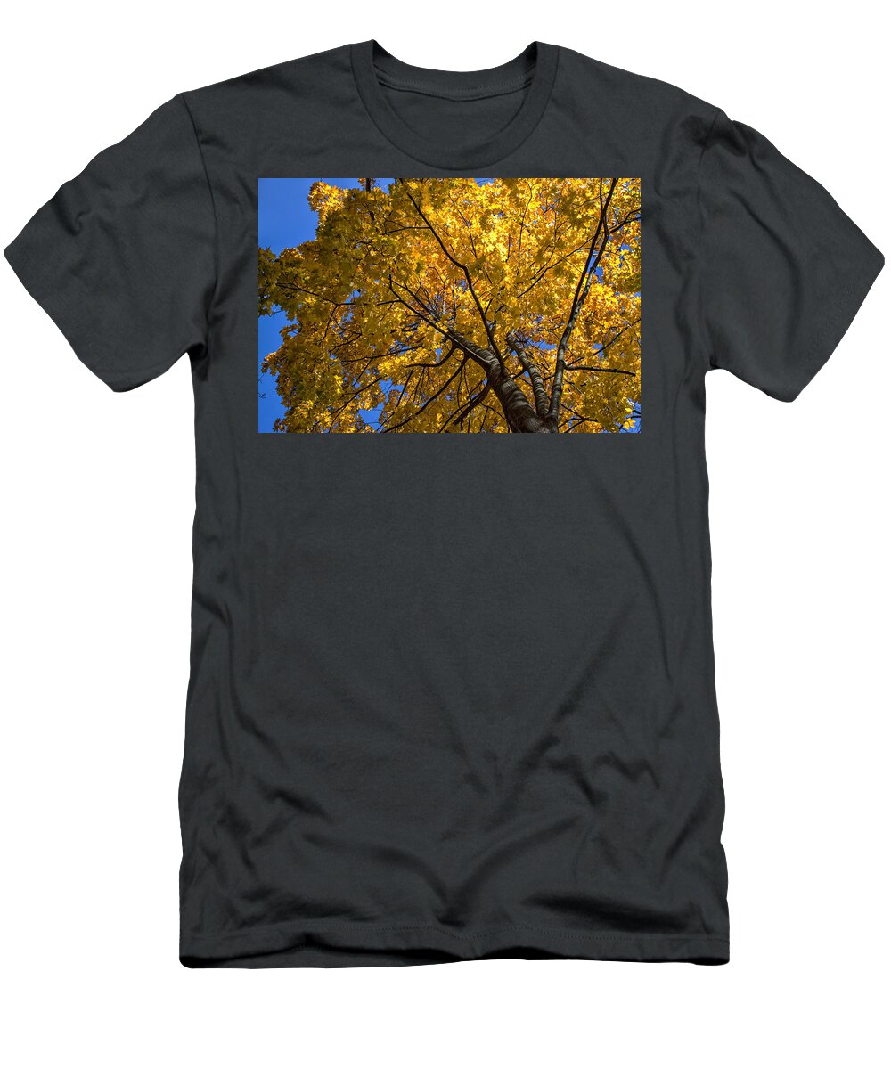 Landscape T-Shirt featuring the photograph Bright eyes by Rob Dietrich