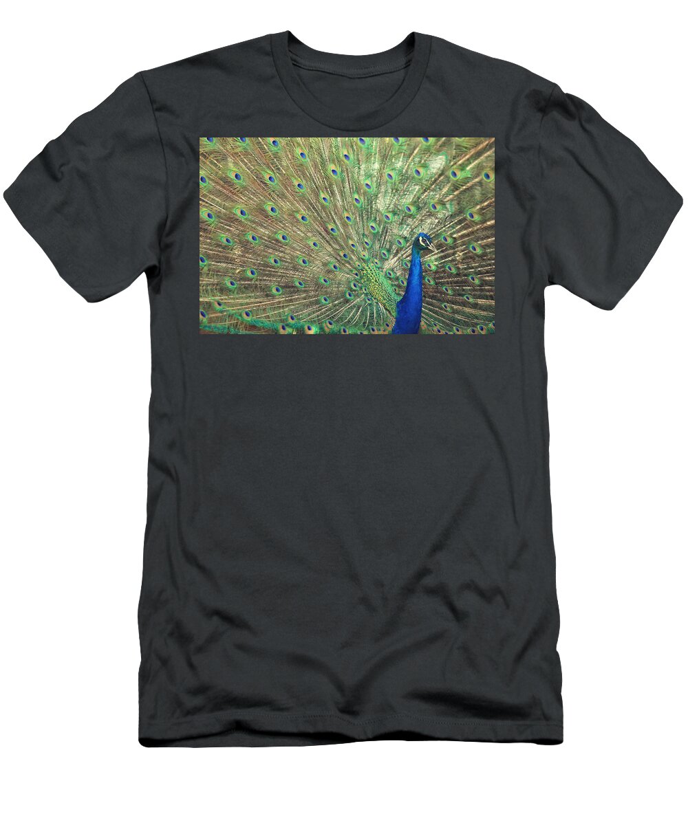 Green T-Shirt featuring the photograph Brilliant Beautiful Backdrop by Carrie Ann Grippo-Pike