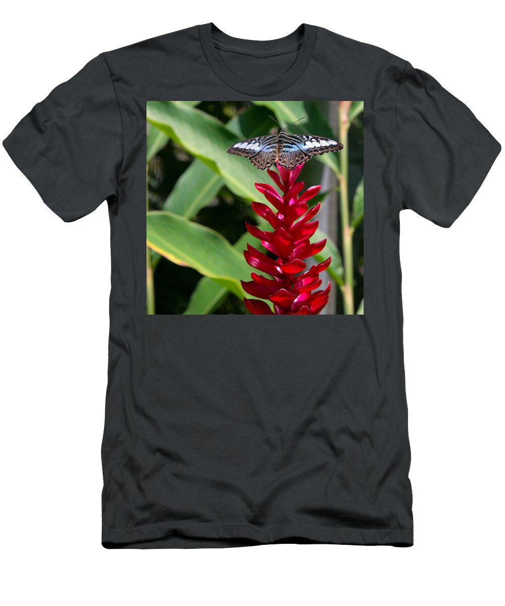 Butterfly T-Shirt featuring the photograph Brilliant Butterfly by Natalie Rotman Cote