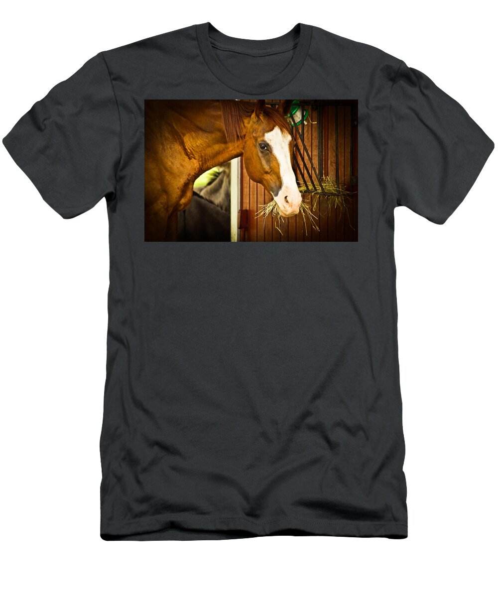 Equine Photographs T-Shirt featuring the photograph Brown Horse by Joann Copeland-Paul