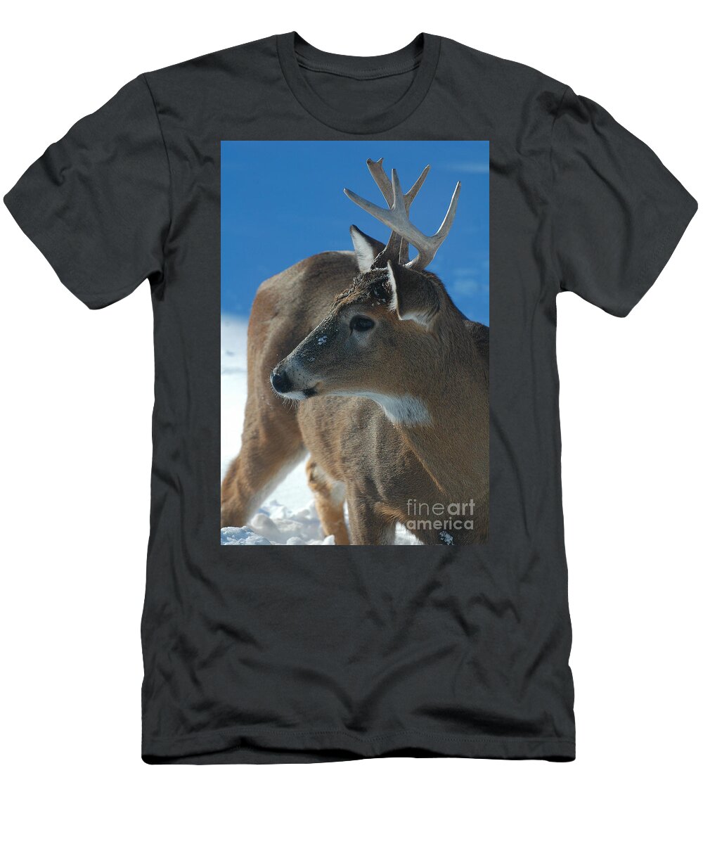 8-point Buck T-Shirt featuring the photograph Buck profile by Joan Wallner