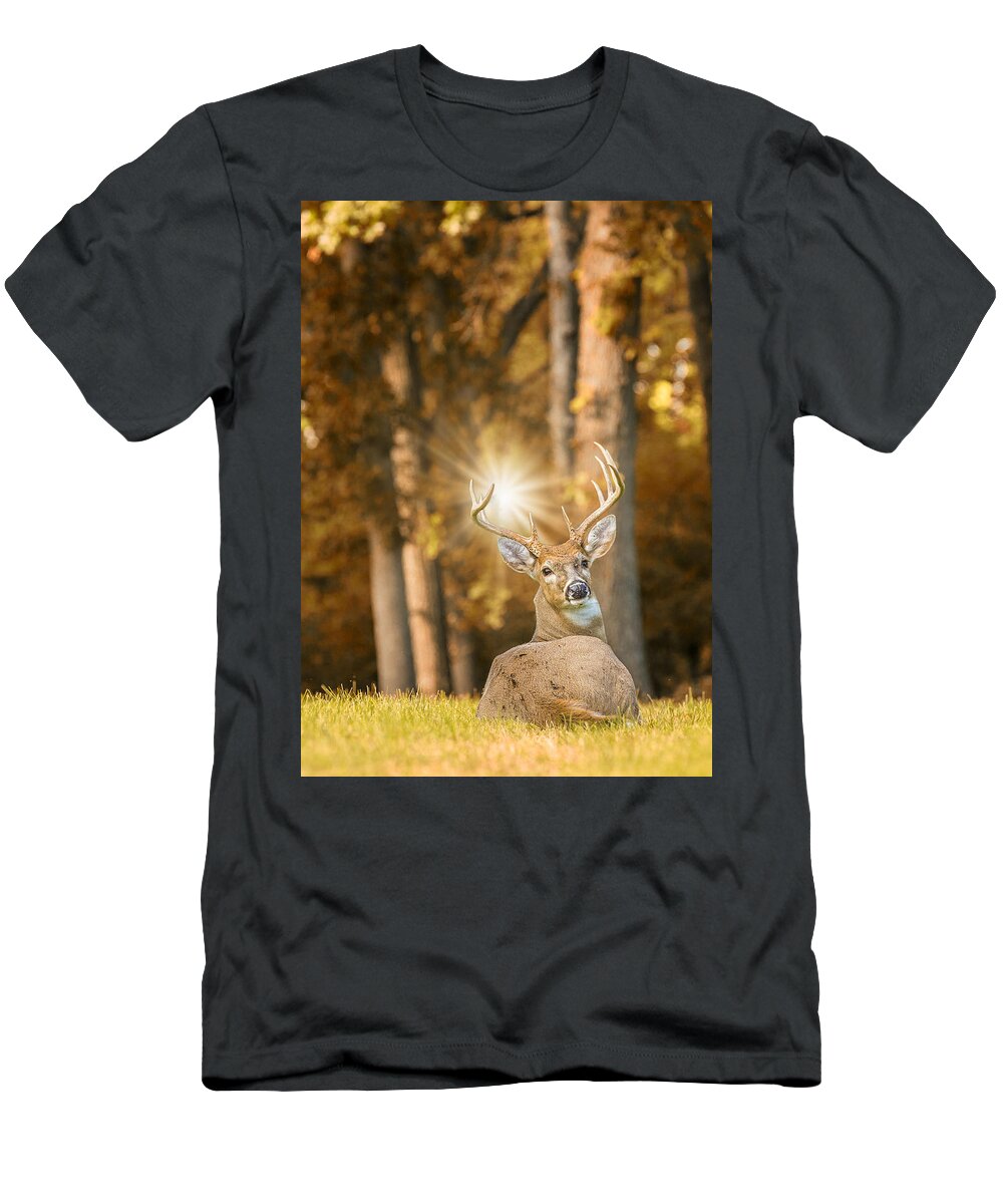 Deer T-Shirt featuring the photograph Buck Wild by Bill and Linda Tiepelman