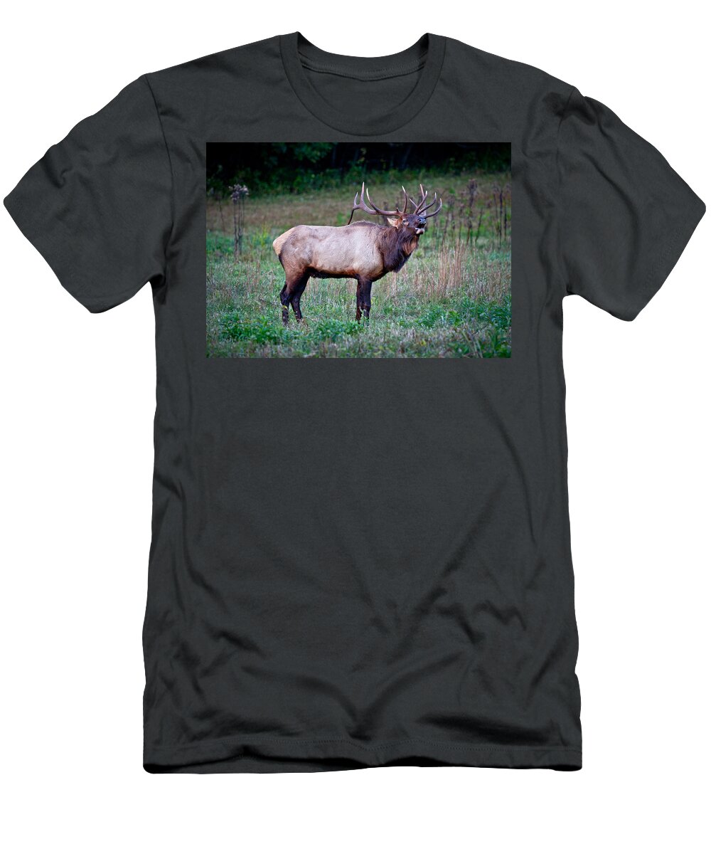 Elk T-Shirt featuring the photograph Bugle Solo from Bull Elk by John Haldane
