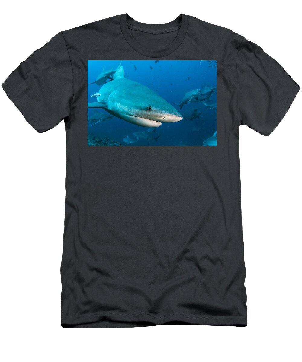 Pete Oxford T-Shirt featuring the photograph Bull Sharks In Beqa Lagoon Viti Levu by Pete Oxford