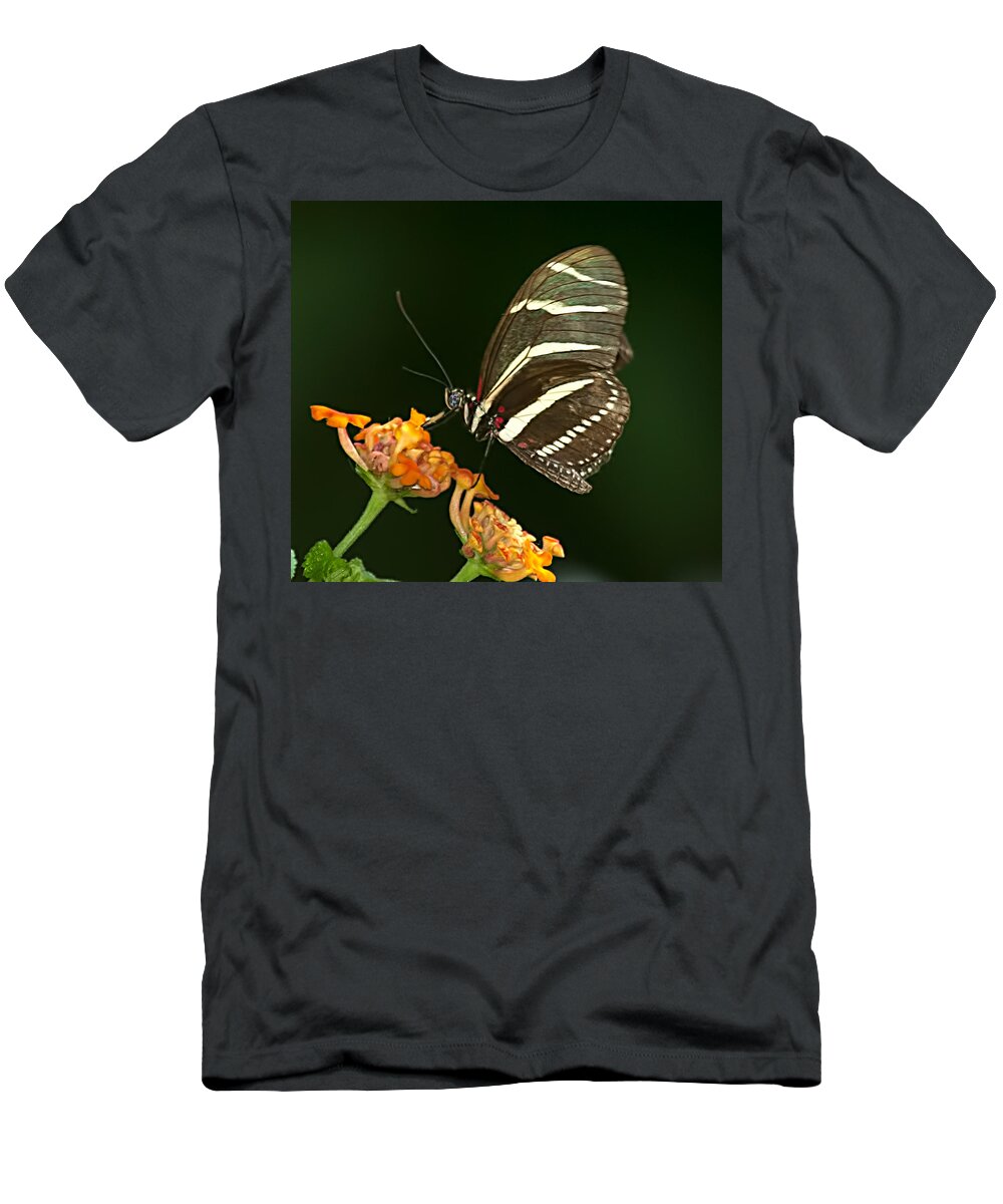 Zebra T-Shirt featuring the photograph Butterfly 50 by Photos By Cassandra