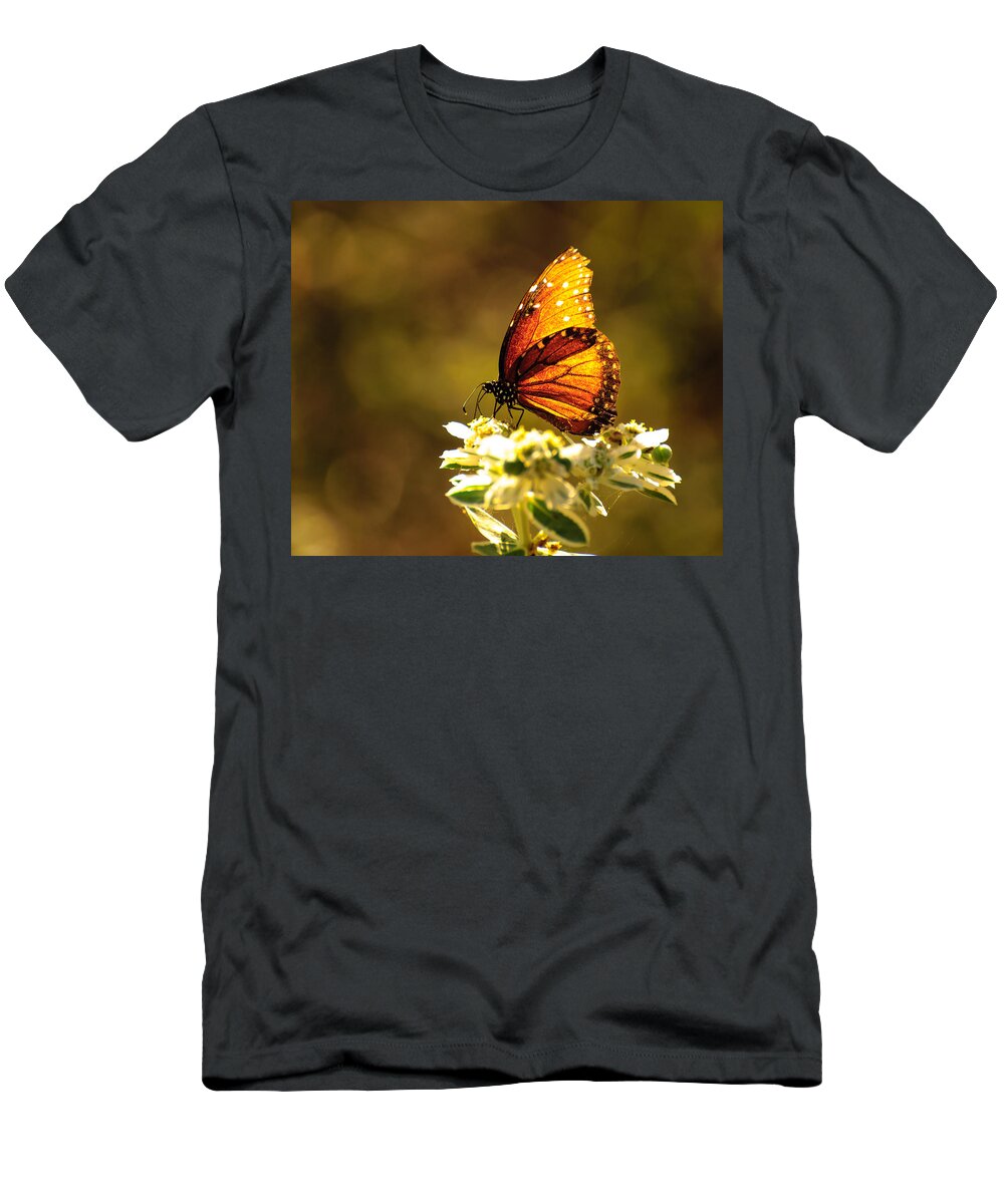 Butterfly T-Shirt featuring the photograph Butterfly in sun by John Johnson