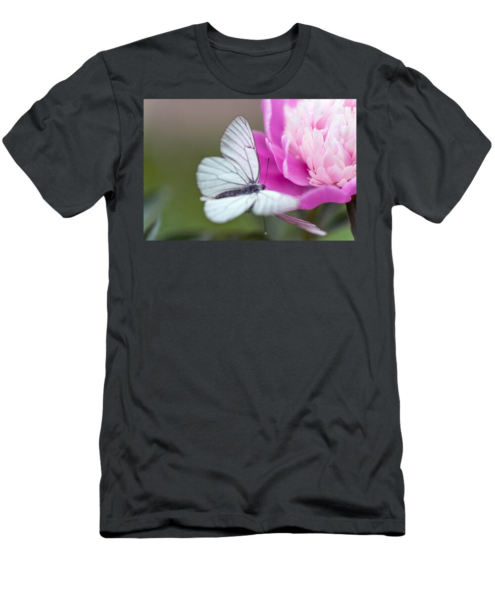 Flower T-Shirt featuring the photograph Butterfly Love Dance on Peony by Jenny Rainbow