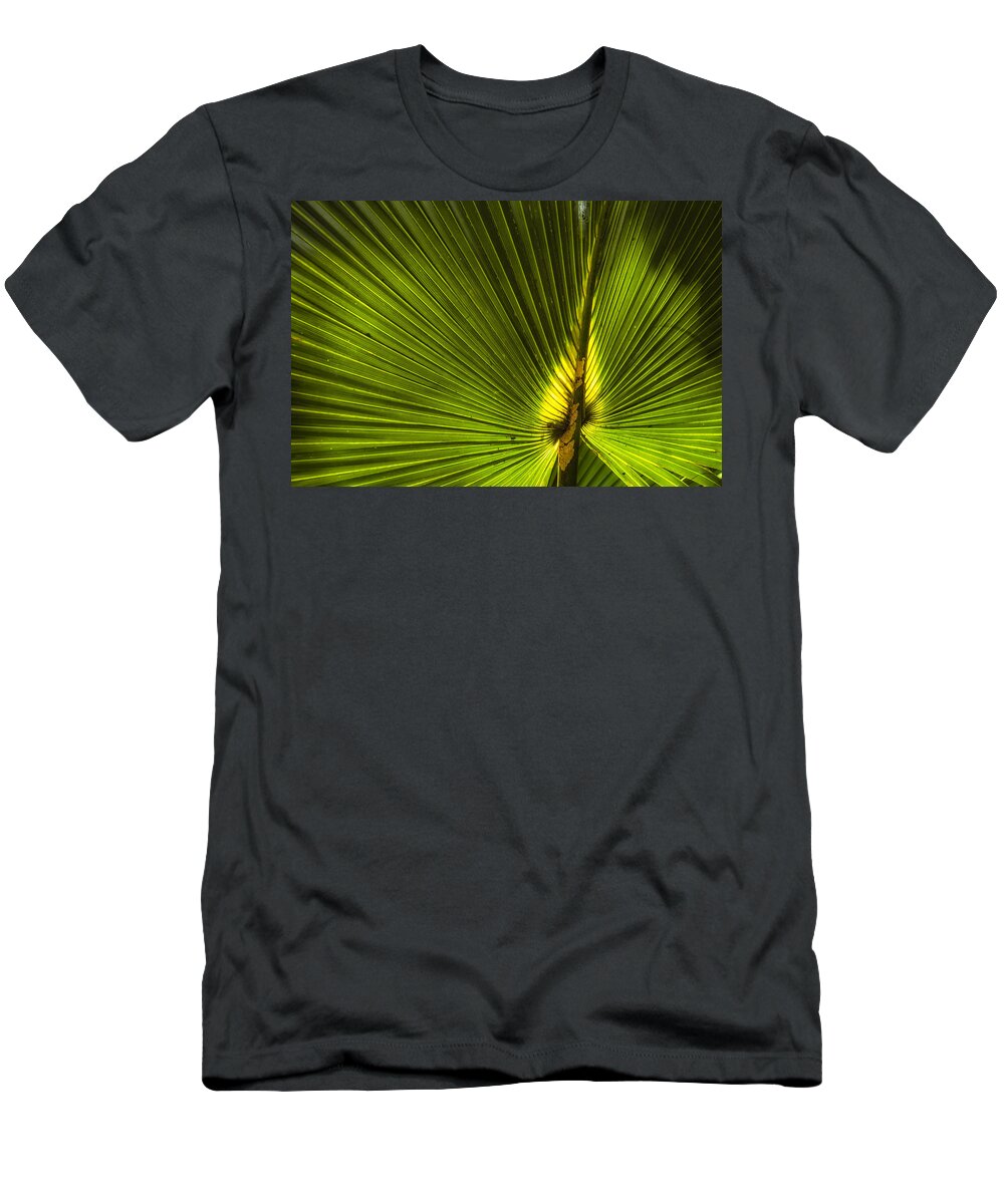 Angiosperms T-Shirt featuring the photograph Cabbage Palm by Richard Leighton