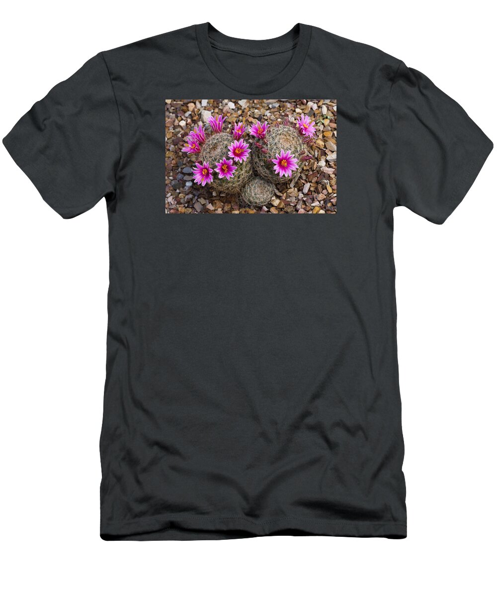 Feb0514 T-Shirt featuring the photograph Cactus Flowers Arizona by Tom Vezo