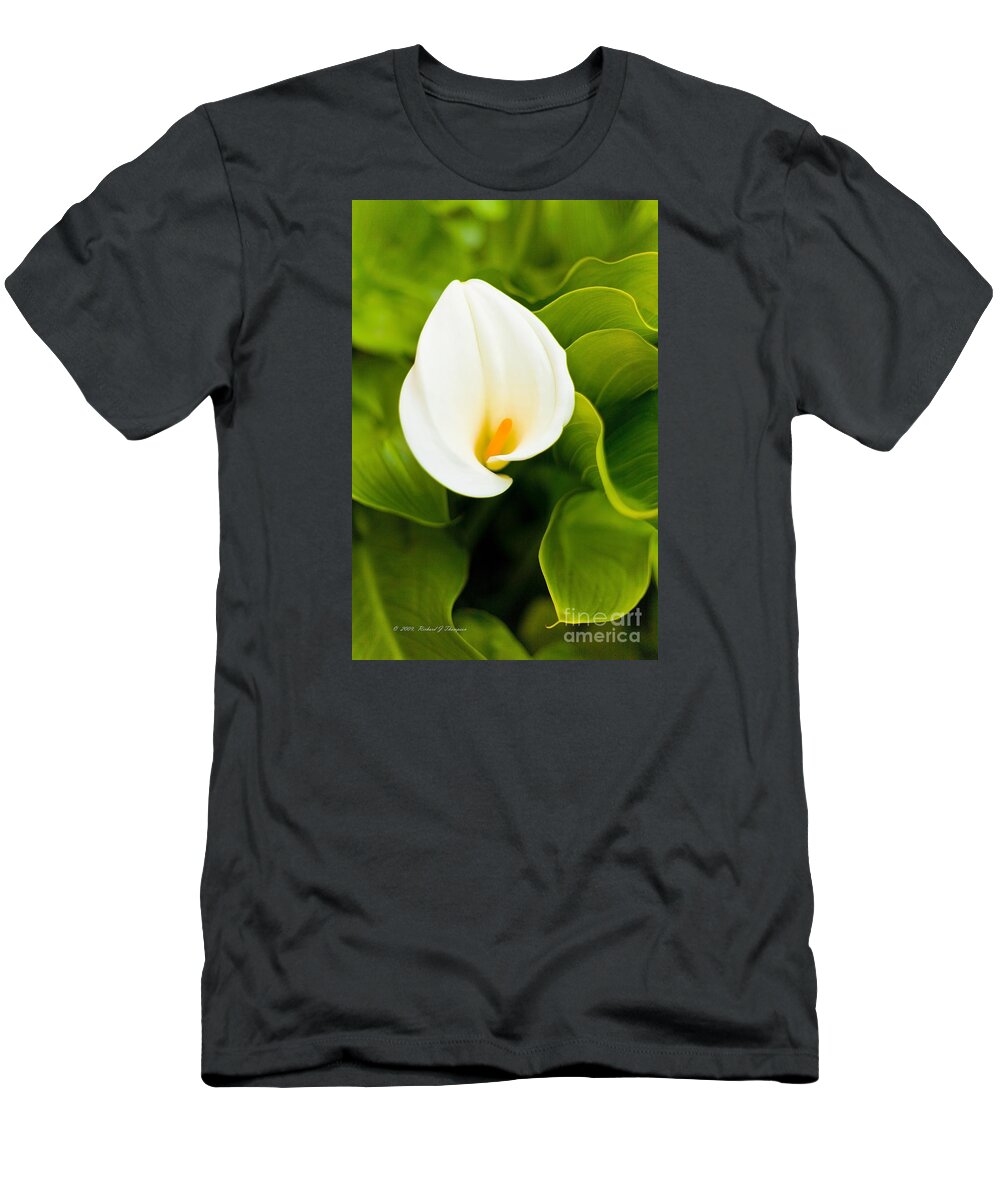 Calla Lily T-Shirt featuring the photograph Calla Lily Plant by Richard J Thompson 