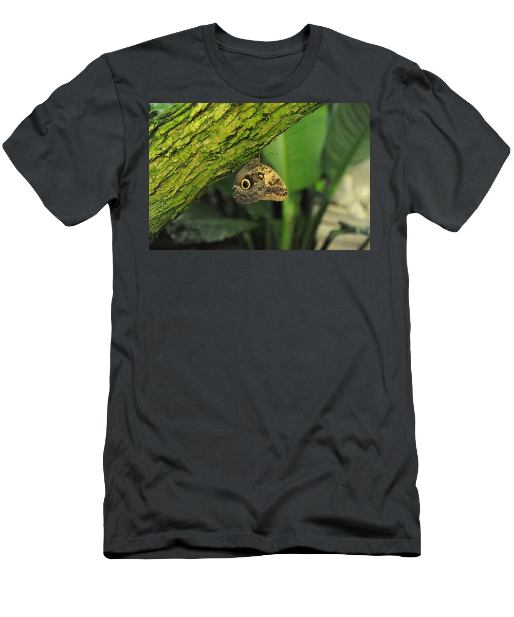 Wildlife T-Shirt featuring the photograph Camouflage by Richard Gehlbach