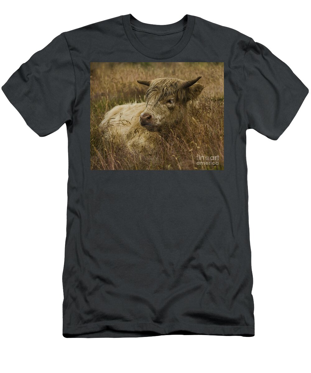 Cattle T-Shirt featuring the photograph Camouflaged Cow by Linsey Williams