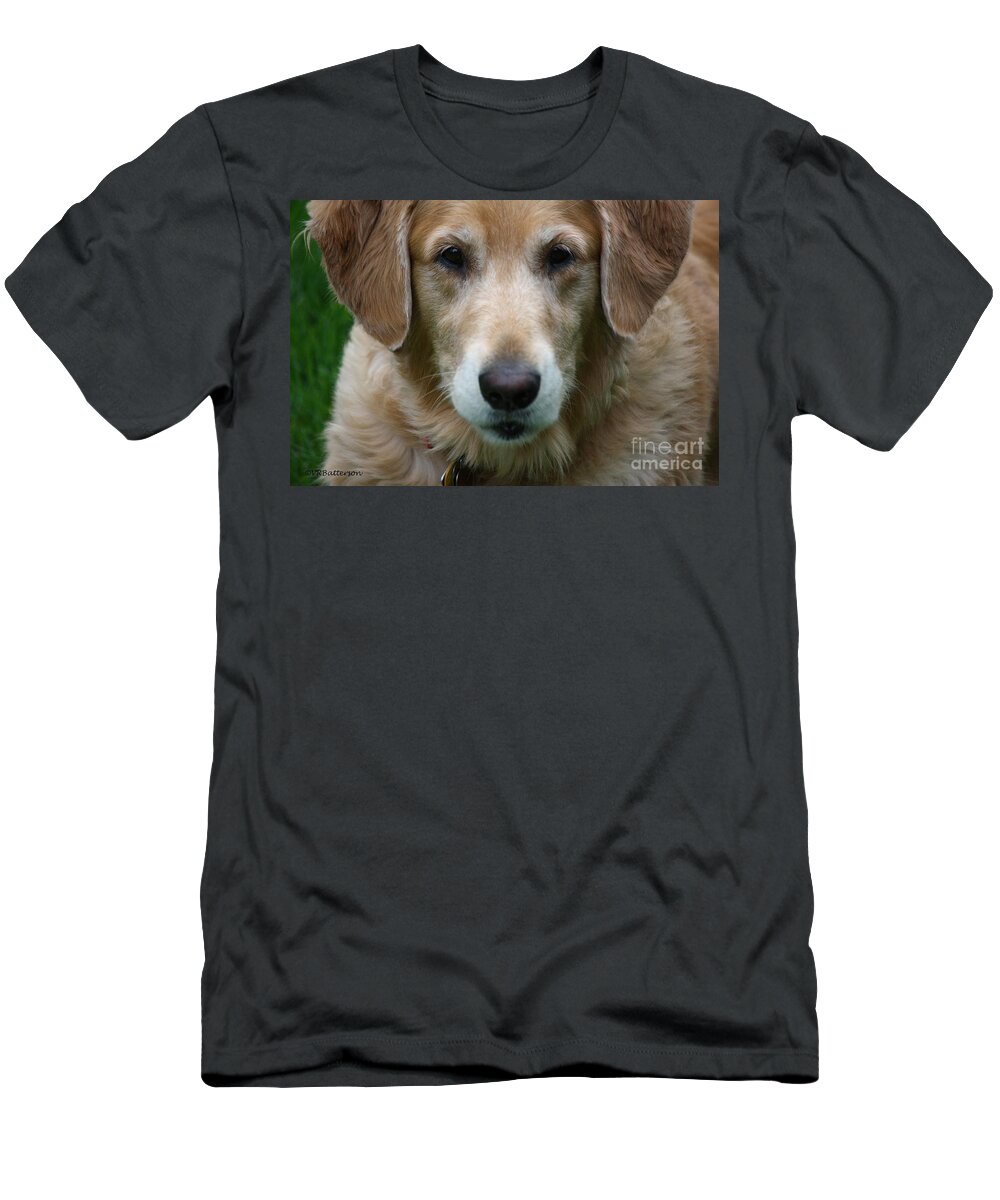 Dog T-Shirt featuring the photograph Canine Close Up by Veronica Batterson