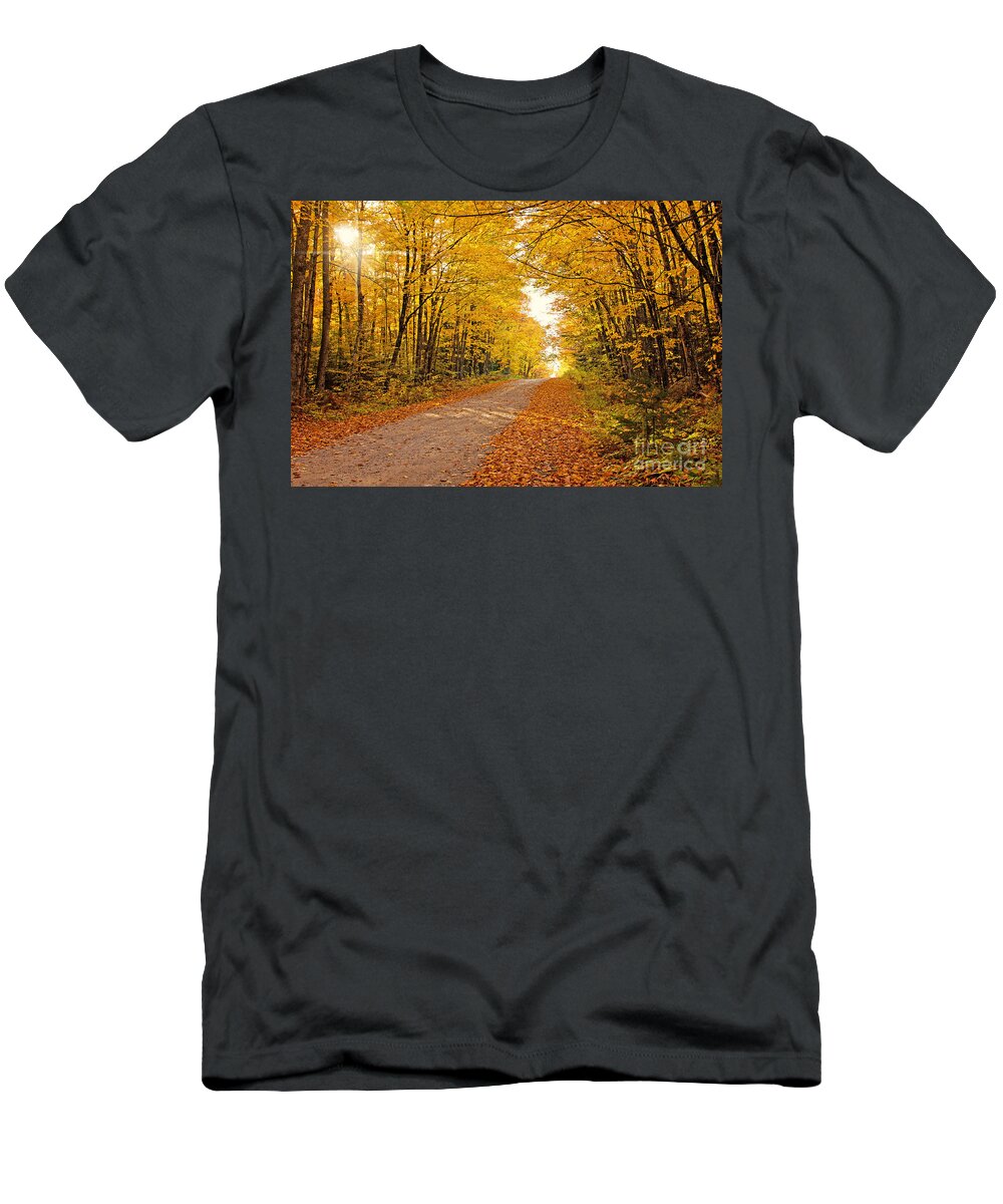 Fall Foliage T-Shirt featuring the photograph Canopy of Fall by Gwen Gibson