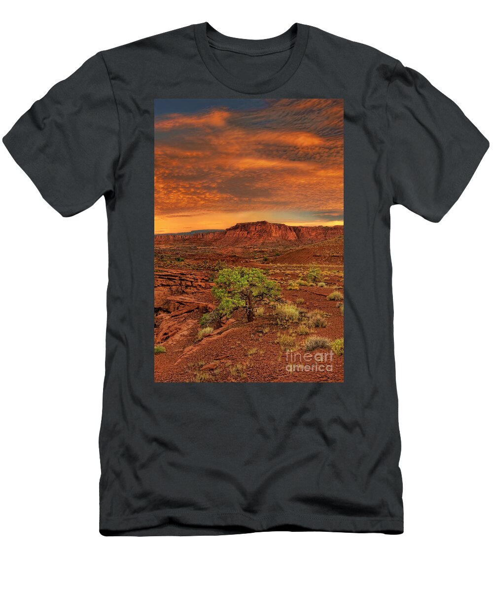 North America T-Shirt featuring the photograph Capitol Reef National Park Utah by Dave Welling