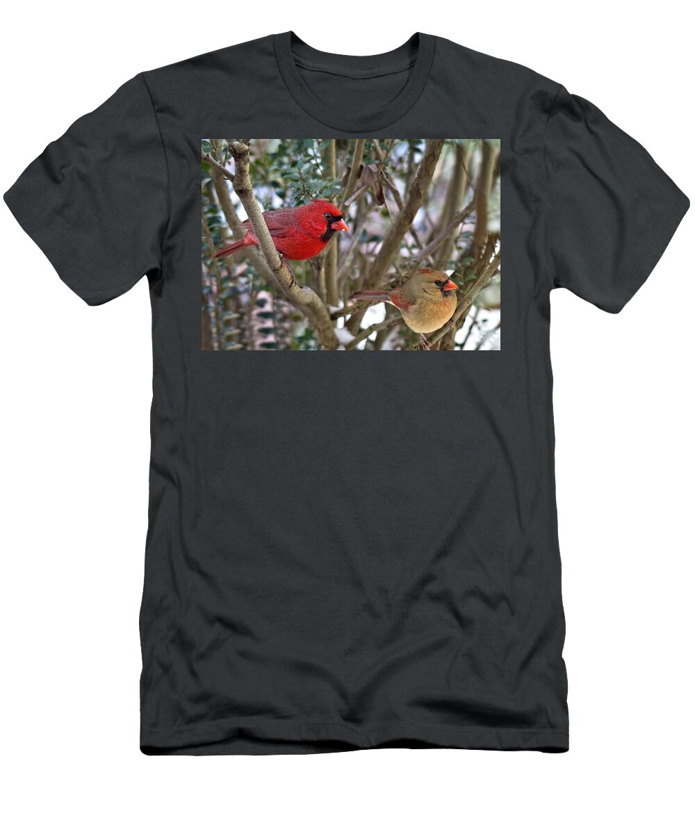 Cardinal Couple T-Shirt featuring the photograph Cardinal Couple by Jemmy Archer